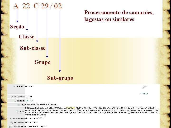 A 22 C 29 / 02 Processamento de camarões, lagostas ou similares Seção Classe