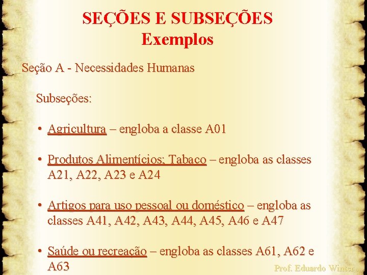 SEÇÕES E SUBSEÇÕES Exemplos Seção A - Necessidades Humanas Subseções: • Agricultura – engloba