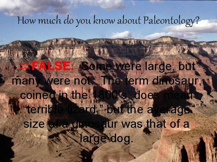 How much do you know about Paleontology? h. FALSE. Some were large, but many