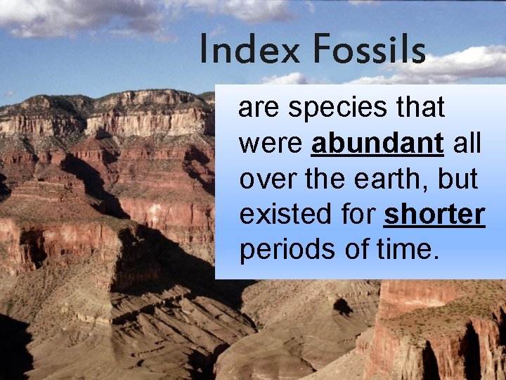 Index Fossils are species that were abundant all over the earth, but existed for