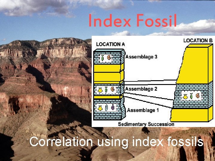 Index Fossil Correlation using index fossils 