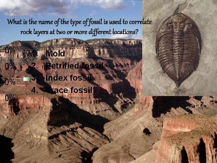 What is the name of the type of fossil is used to correlate rock