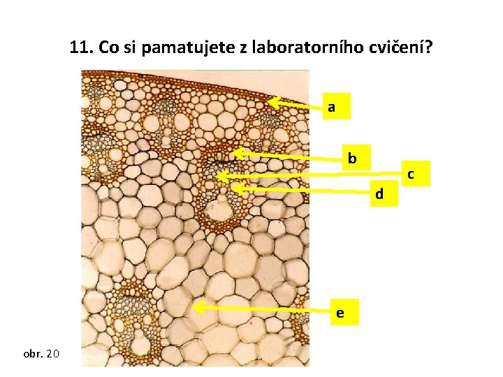 11. Co si pamatujete z laboratorního cvičení? a b d e obr. 20 c