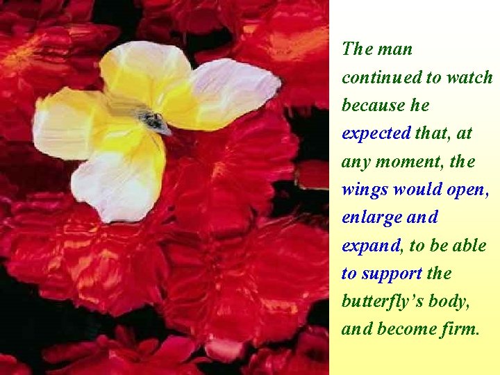 The man continued to watch because he expected that, at any moment, the wings