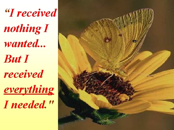 “I received nothing I wanted. . . But I received everything I needed. "