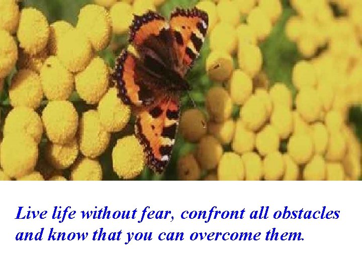 Live life without fear, confront all obstacles and know that you can overcome them.
