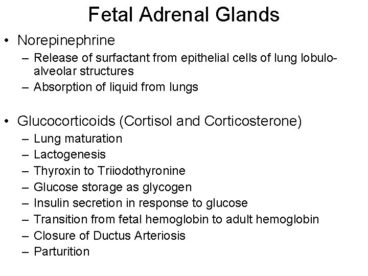 Fetal Adrenal Glands • Norepinephrine – Release of surfactant from epithelial cells of lung Fetal Adrenal Glands • Norepinephrine – Release of surfactant from epithelial cells of lung
