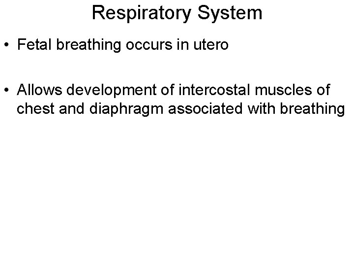 Respiratory System • Fetal breathing occurs in utero • Allows development of intercostal muscles Respiratory System • Fetal breathing occurs in utero • Allows development of intercostal muscles
