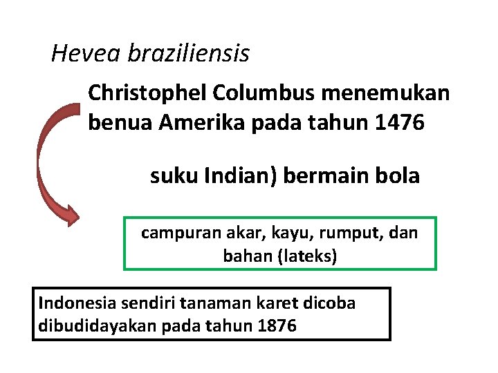 Hevea braziliensis Christophel Columbus menemukan benua Amerika pada tahun 1476 suku Indian) bermain bola