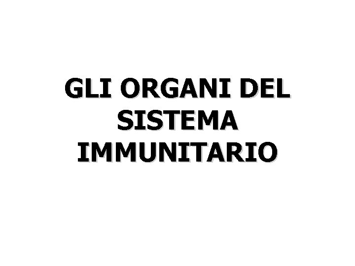 GLI ORGANI DEL SISTEMA IMMUNITARIO 