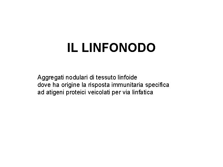 IL LINFONODO Aggregati nodulari di tessuto linfoide dove ha origine la risposta immunitaria specifica