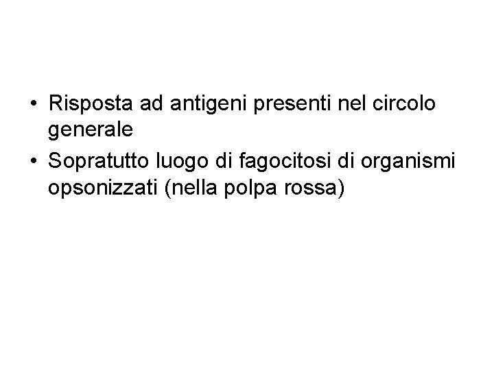  • Risposta ad antigeni presenti nel circolo generale • Sopratutto luogo di fagocitosi