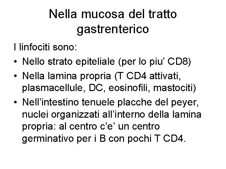 Nella mucosa del tratto gastrenterico I linfociti sono: • Nello strato epiteliale (per lo