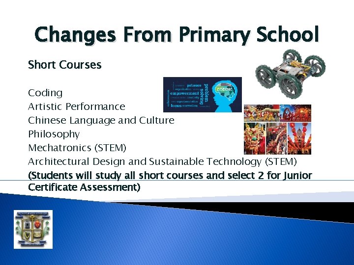 Changes From Primary School Short Courses Coding Artistic Performance Chinese Language and Culture Philosophy Changes From Primary School Short Courses Coding Artistic Performance Chinese Language and Culture Philosophy