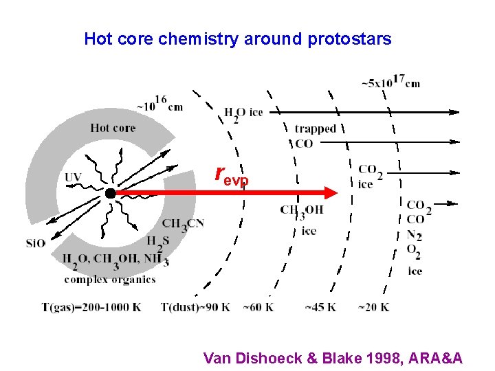 Hot core chemistry around protostars revp Van Dishoeck & Blake 1998, ARA&A 