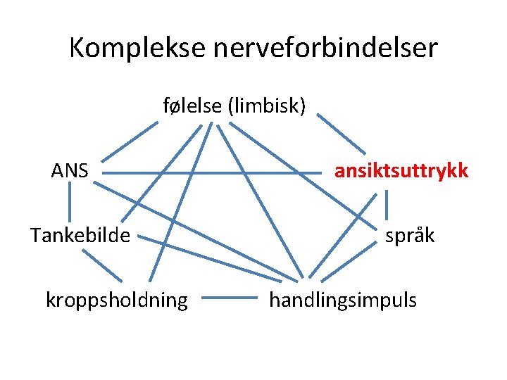 Komplekse nerveforbindelser følelse (limbisk) ANS Tankebilde kroppsholdning ansiktsuttrykk språk handlingsimpuls Komplekse nerveforbindelser følelse (limbisk) ANS Tankebilde kroppsholdning ansiktsuttrykk språk handlingsimpuls