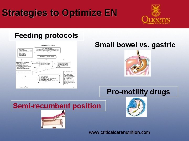 Strategies to Optimize EN Feeding protocols Small bowel vs. gastric Pro-motility drugs Semi-recumbent position