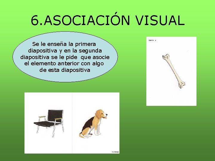 6. ASOCIACIÓN VISUAL Se le enseña la primera diapositiva y en la segunda diapositiva