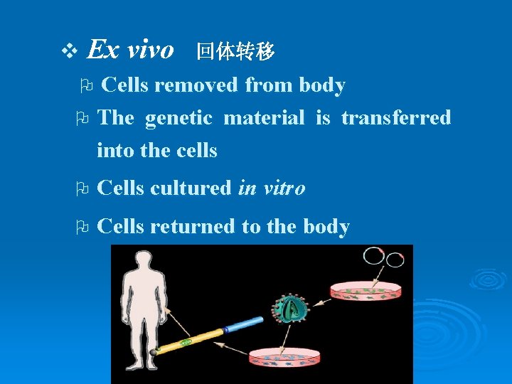 v Ex vivo 回体转移 Cells removed from body O The genetic material is transferred