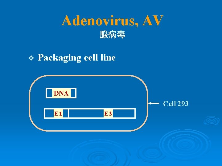 Adenovirus, AV 腺病毒 v Packaging cell line DNA Cell 293 E 1 E 3