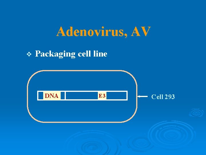 Adenovirus, AV v Packaging cell line DNA E 3 Cell 293 