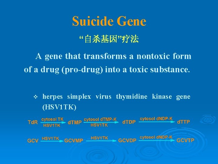 Suicide Gene “自杀基因”疗法 A gene that transforms a nontoxic form of a drug (pro-drug)