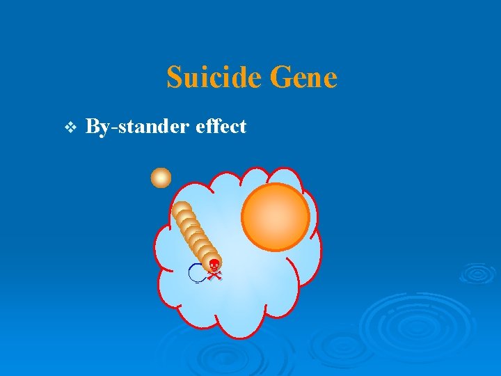 Suicide Gene v By-stander effect 