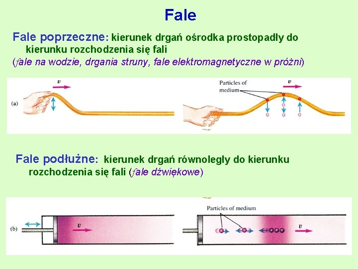 Fale poprzeczne: kierunek drgań ośrodka prostopadły do kierunku rozchodzenia się fali (fale na wodzie,