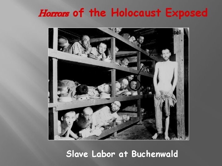 Horrors of the Holocaust Exposed Eli Wiesel Slave Labor at Buchenwald 