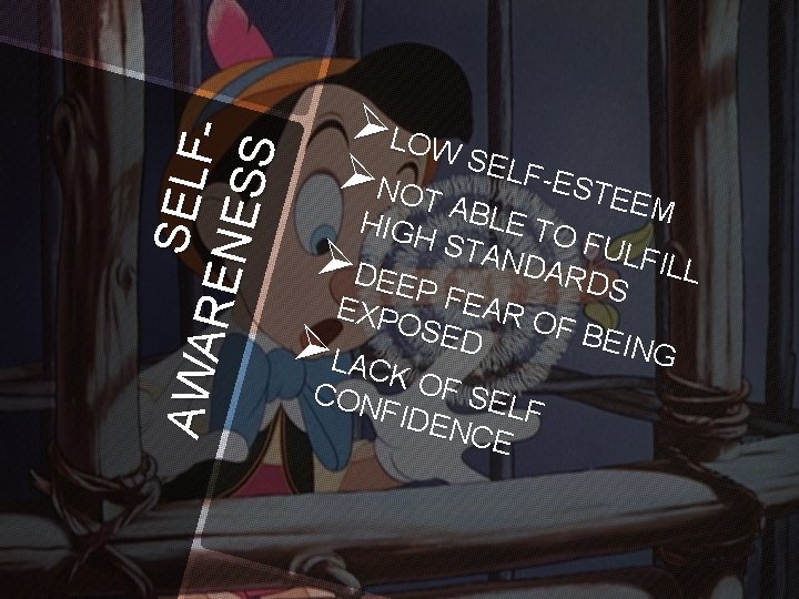 SEL AWA REN F ESS ØLOW SEL F-ES ØNOT TE E EM ABL HIGH