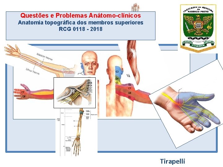 Questões e Problemas Anátomo-clínicos Anatomia topográfica dos membros superiores RCG 0118 - 2018 Tirapelli