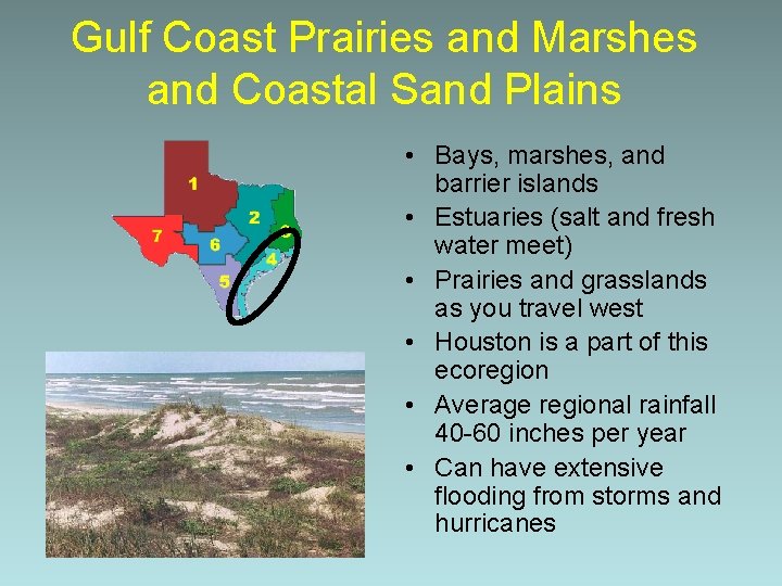 Gulf Coast Prairies and Marshes and Coastal Sand Plains • Bays, marshes, and barrier