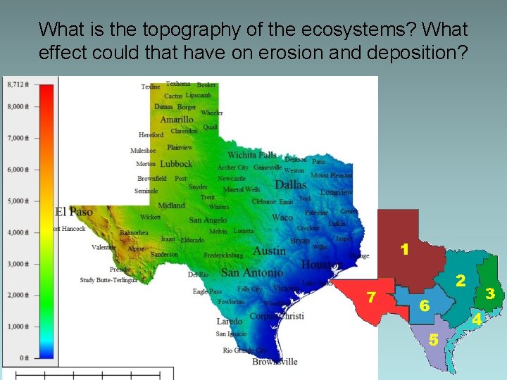 What is the topography of the ecosystems? What effect could that have on erosion