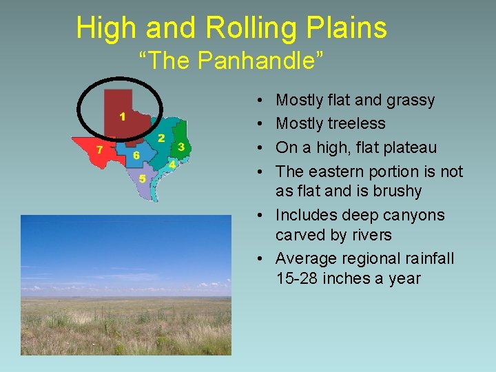 High and Rolling Plains “The Panhandle” • • Mostly flat and grassy Mostly treeless