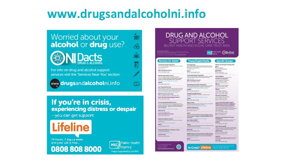 www. drugsandalcoholni. info 