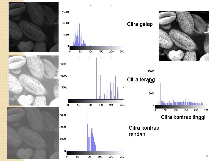 Citra gelap Citra terang Citra kontras tinggi Citra kontras rendah 8 