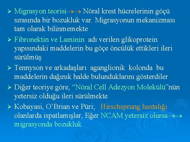 Migrasyon teorisi Nöral krest hücrelerinin göçü sırasında bir bozukluk var. Migrasyonun mekanizması tam olarak