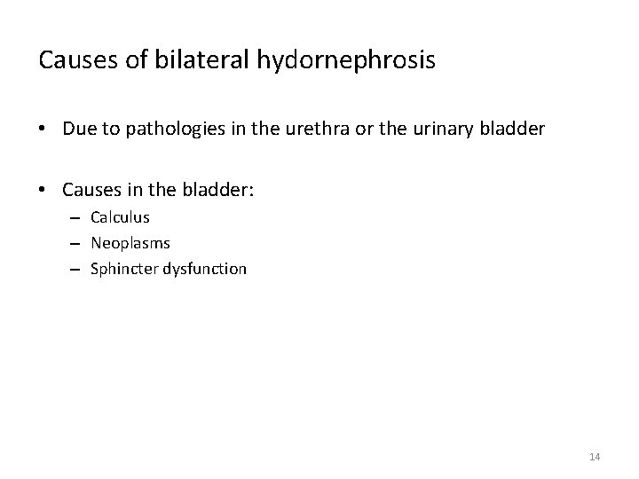Causes of bilateral hydornephrosis • Due to pathologies in the urethra or the urinary