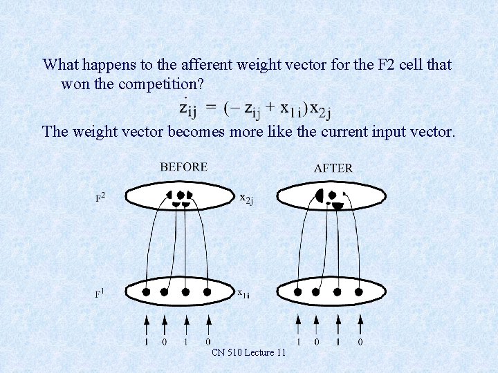 What happens to the afferent weight vector for the F 2 cell that won