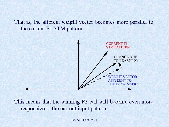 That is, the afferent weight vector becomes more parallel to the current F 1