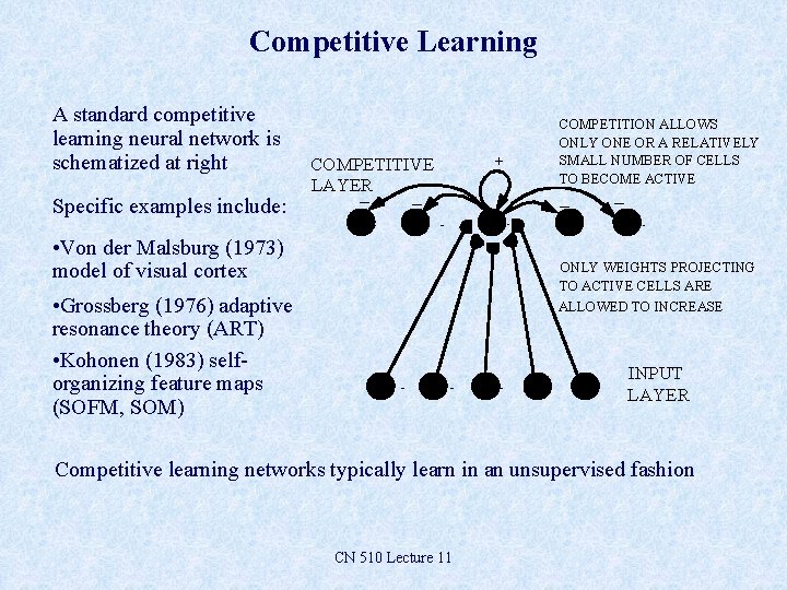 Competitive Learning A standard competitive learning neural network is schematized at right Specific examples