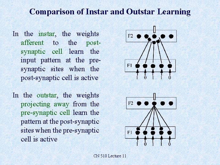 Comparison of Instar and Outstar Learning In the instar, the weights afferent to the