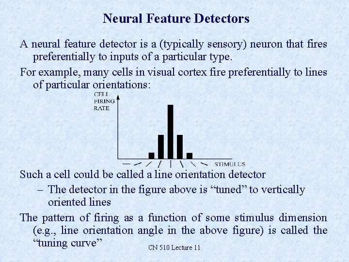 Neural Feature Detectors A neural feature detector is a (typically sensory) neuron that fires Neural Feature Detectors A neural feature detector is a (typically sensory) neuron that fires