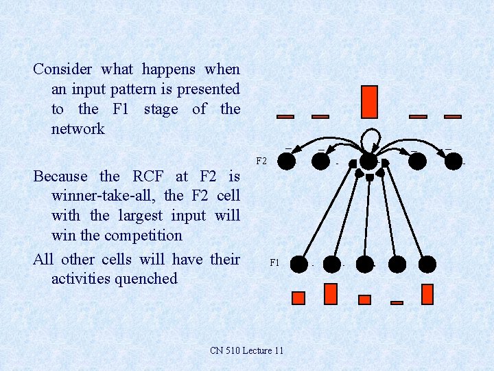 Consider what happens when an input pattern is presented to the F 1 stage