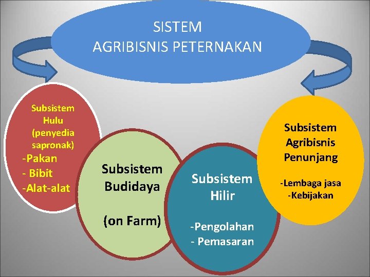 SISTEM AGRIBISNIS PETERNAKAN Subsistem Hulu (penyedia sapronak) -Pakan - Bibit -Alat-alat Subsistem Budidaya (on