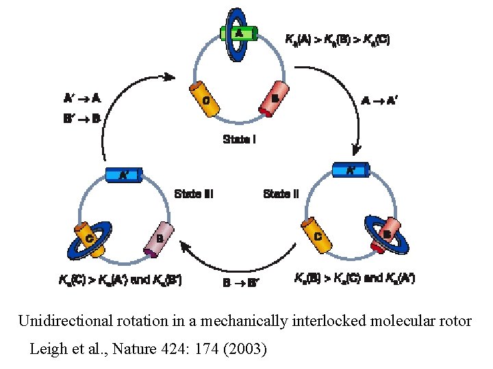 Unidirectional Rotation Rotor Physics of Brownian Motors Swimming in Molasses and