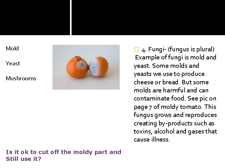 Mold Yeast Mushrooms Is it ok to cut off the moldy part and Still