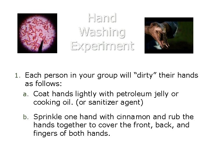 1. Each person in your group will “dirty” their hands as follows: a. Coat