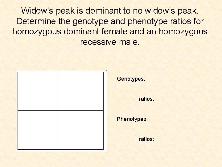 Widow’s peak is dominant to no widow’s peak. Determine the genotype and phenotype ratios