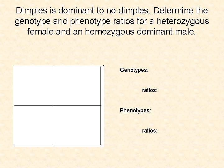 Dimples is dominant to no dimples. Determine the genotype and phenotype ratios for a